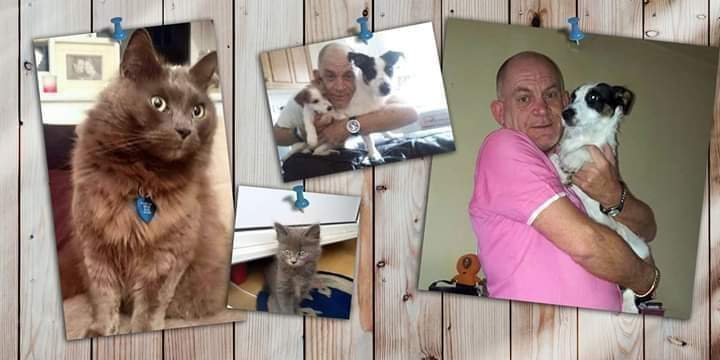 John, Theo, Tinkerbell & their feline best friend Gizmo